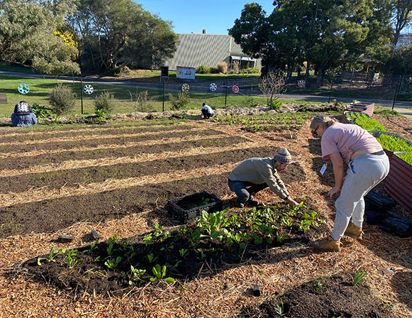 for-community-3 Our community garden image 3