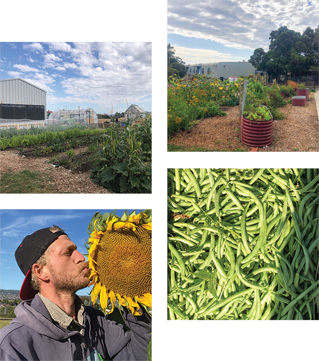 self-sufficient-hero Community Gardens - Self Sufficient