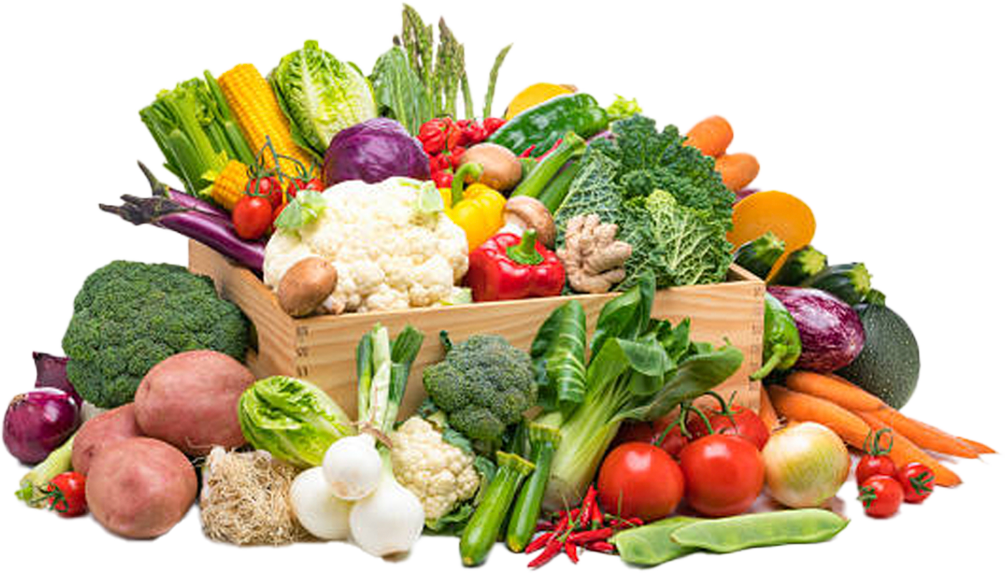 veggie-box Our project enhances food security, promotes social inclusion, creates training opportunities, and supports small business growth. This has a wide-reaching impact on our community.