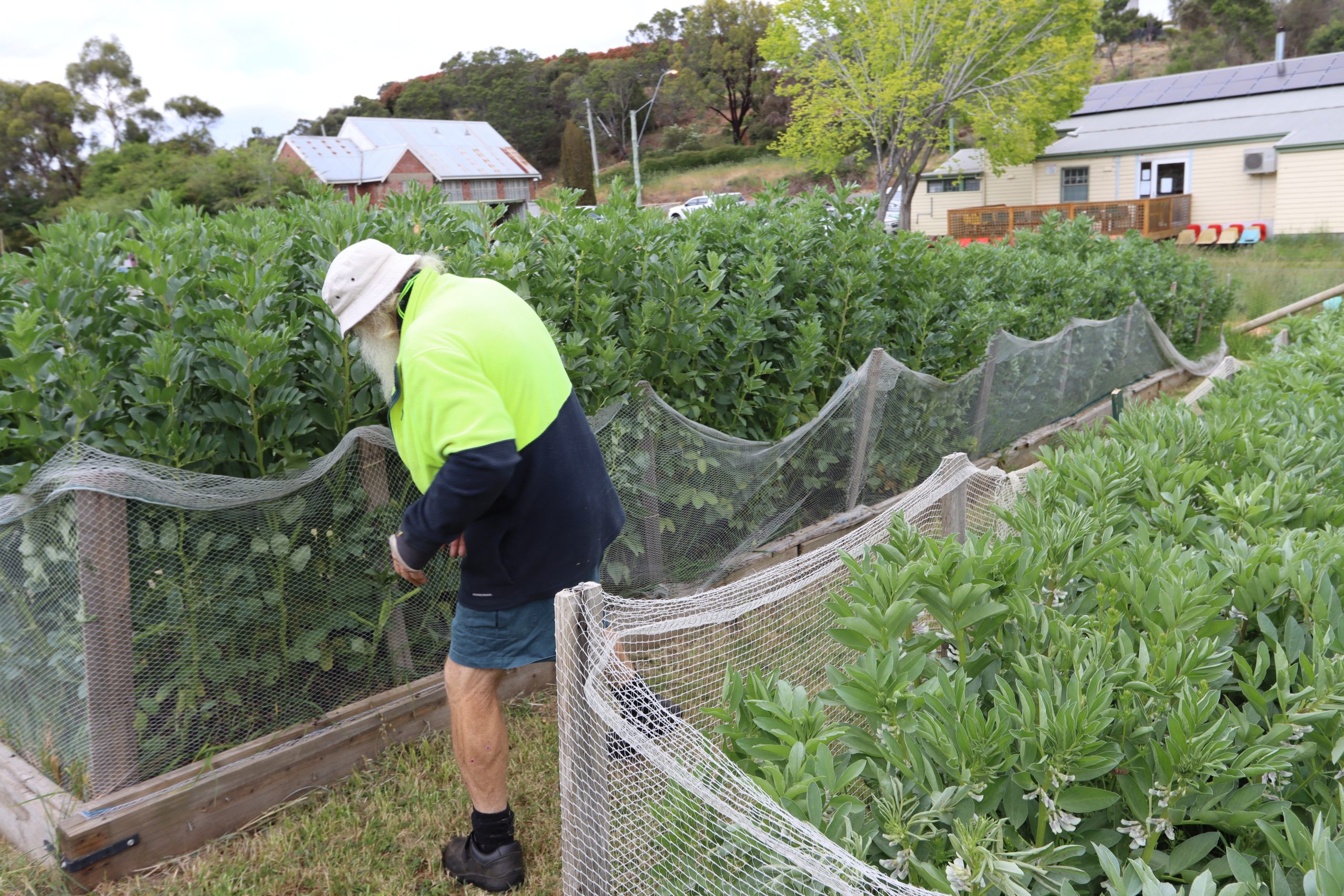 IMG_1713 Our community garden image 1